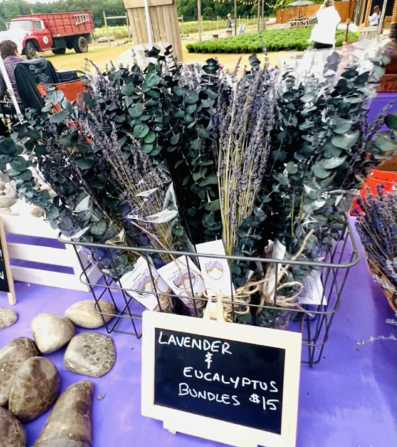 Lavender & Eucalyptus Bundle