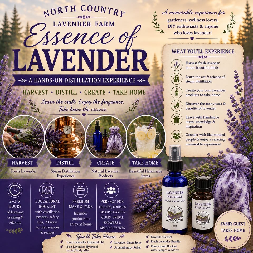 Essence of Lavender Workshop Thursday, Aug 6th 6-8:30pm