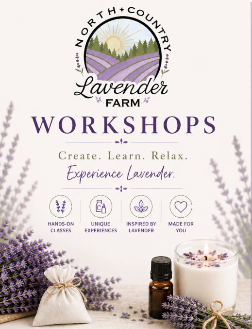 Workshops