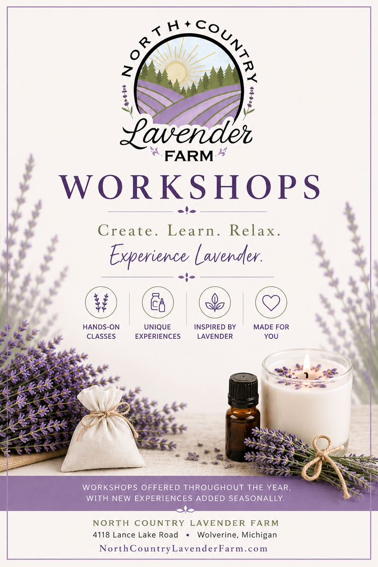 Workshops