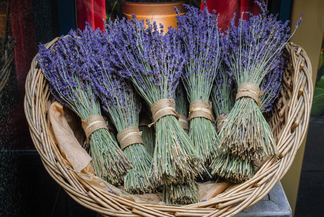 Dried Lavender Bundle
