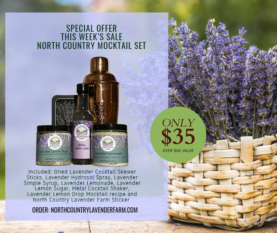 North Country Mocktail Set SALE