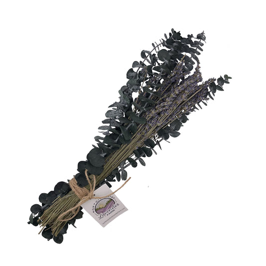 Lavender & Eucalyptus Bundle