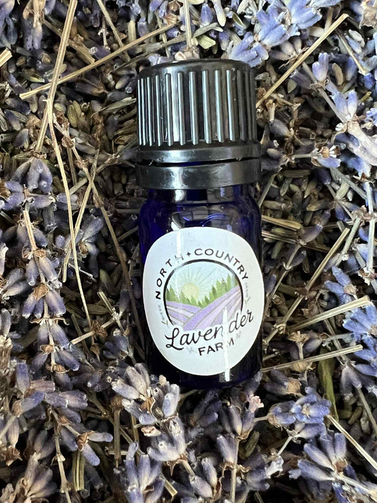 Lavender (Phenomenal) 100% Pure Essential Oil (5ml)