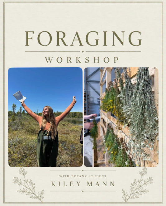Foraging &  Lavender Workshop Saturday, Aug 1st 10am-12pm
